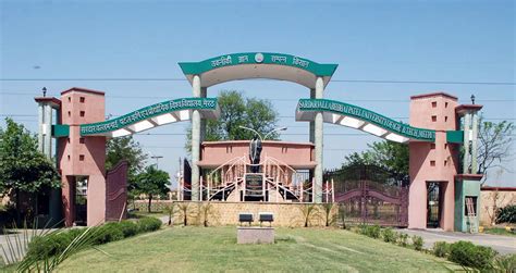 Sardar Vallabhbhai Patel University of Agriculture & Technology , Meerut