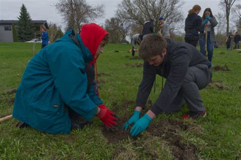 Tree Planting – Our Canada Project