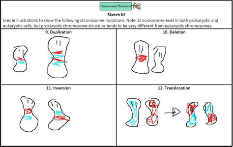 [Solved] pls help :(. Amoeba Sisters Video Recap: Mutations (Updated ...