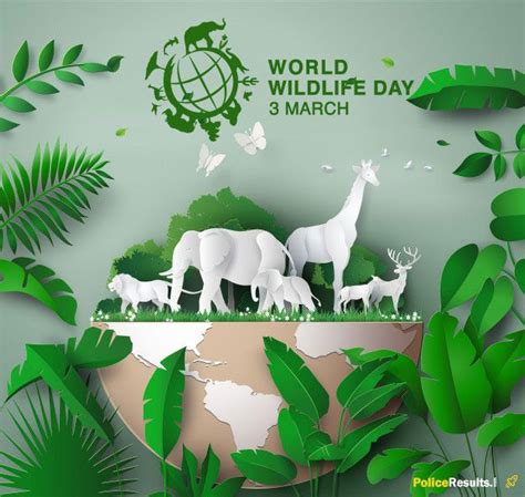 National Wildlife Day Theme 2021 - Wildlife Aestetic 2021