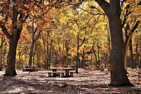 Picnic Area In The Woods In Fall Free Stock Photo - Public Domain Pictures