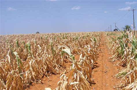 ‘Drought has created a perfect storm for SA banks’