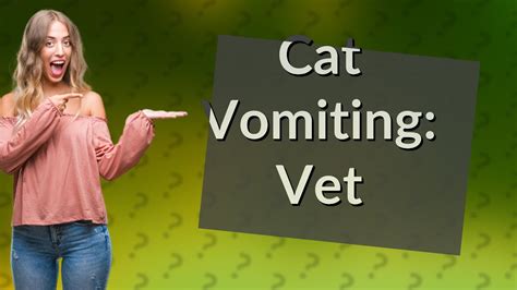 How many times should a cat vomit before going to vet? - YouTube