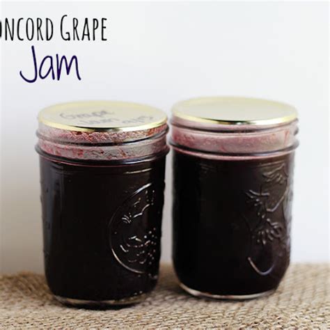 10 Best Grape Jam Without Pectin Recipes | Yummly