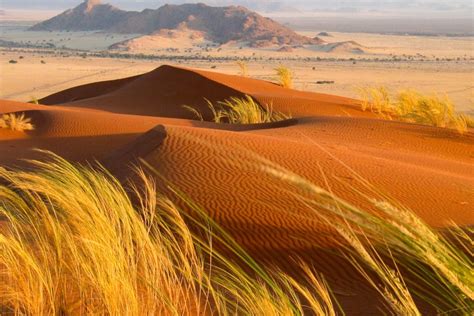 NAMIBIJA - dykuma ir žvėrys - West Orient travel