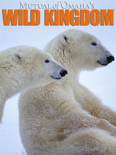 Wild Kingdom - Where to Watch and Stream - TV Guide