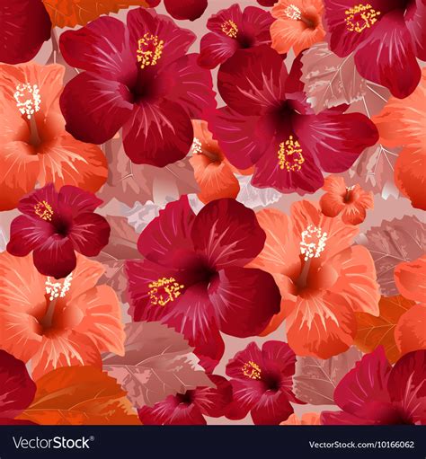 Red hibiscus flower seamless floral background Vector Image