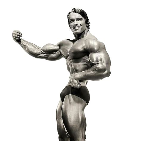 Schwarzenegger Arnold Free Clipart HD Transparent HQ PNG Download | FreePNGimg