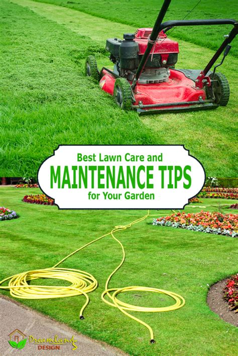 Best Lawn Care Tips and Lawn Maintenance Tips for Your Garden