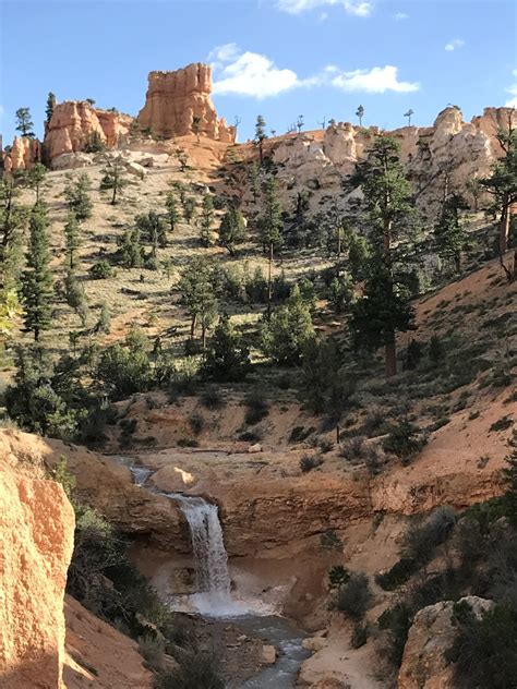 Mossy Cave Trail at Bryce Canyon National Park - Sharing Horizons