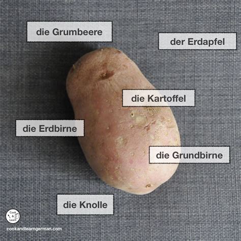 a potato with different regional German names for it superimposed: “Die Kartoffel”, “der ...