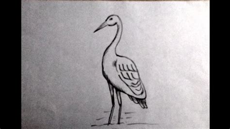 Crane Drawing Simple - joanamtfjoana