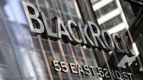 BlackRock to step up sustainability action in 2021 | Pensions & Investments