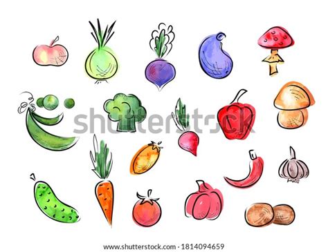 Food Sketch Illustration Vector Watercolor Vegetables Stock Vector (Royalty Free) 1814094659 ...