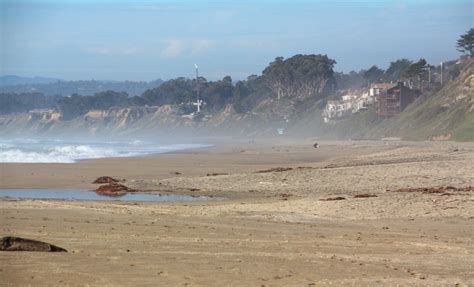 Manresa Uplands Beach (Sand Dollar Beach) in Watsonville, CA - California Beaches