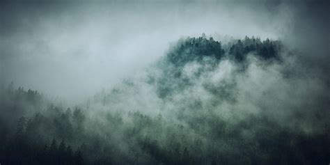 Cloudy forest on Behance