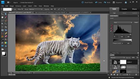 Photoshop Elements and CS All About Layer Mask and Masking by Captain ...