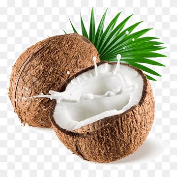 Coconut png images | PNGWing