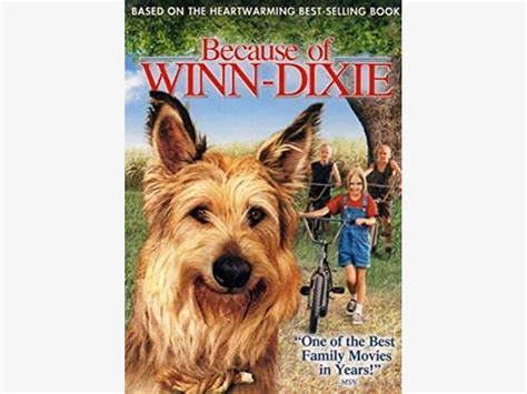 DVD Review: Because of Winn-Dixie (dog, girl, Southern summer ...