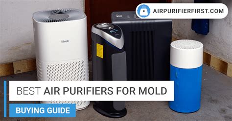 5 Best Air Purifiers To Effectively Fight Mold (2023)