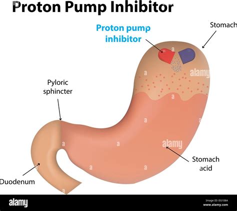 Proton Pump Inhibitor Mechanism