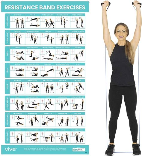 Vive Resistance Band Workout Poster Laminated Bodyweight Hitt Exercise ...