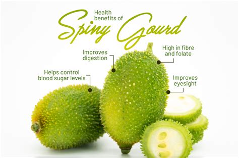 Health benefits of spiny gourd