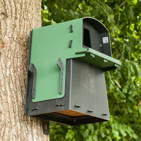 Eco Barn Owl Nest Box | The Nestbox Company