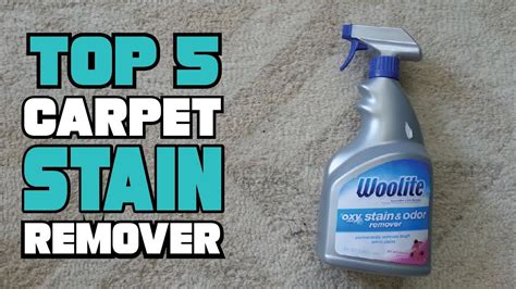 Best Carpet Stain Remover Reviews 2024 | Best Budget Carpet Stain Removers (Buying Guide) - YouTube