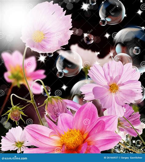 The Decorative Garden Summer Flowers Stock Image - Image of backgrounds ...