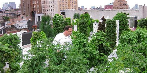 Why Rooftop Farming Is the Best Solution for Smart Urban Agriculture — AGRITECTURE