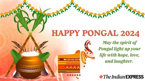 Happy Pongal 2024: Share the Festive Spirit with Greetings, Images ...