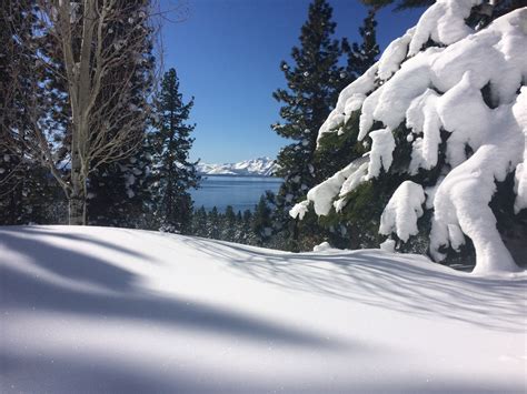 South Lake Tahoe Correspondence - March 2019 NevadaGram from the Nevada ...