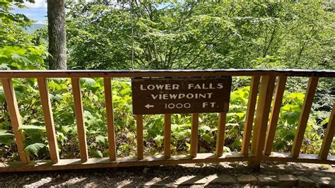 Dark Hollow Falls: Hike to Shenandoah's Most Popular Falls