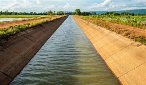 Canal irrigation: types, advantages, disadvantages and design