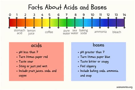 Facts About Acids and Bases