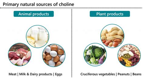 Learn About Your Vitamins and Minerals: Choline - Bioanalyt