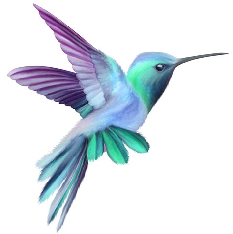 Pictures Of A Hummingbird Clipart - ClipArt Best