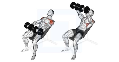 Dumbbell Incline Front Raise - Guide, Benefits, and Form