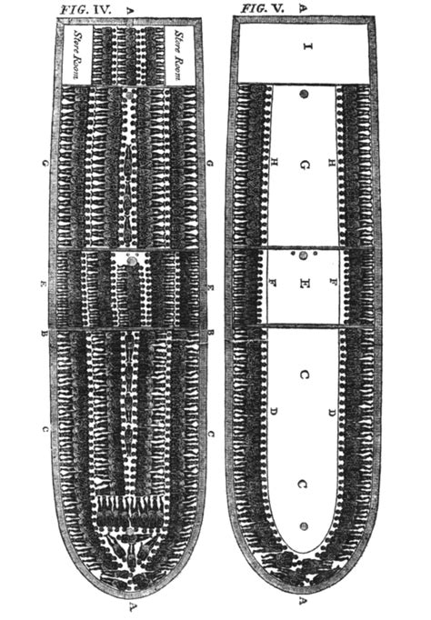 Slave_ship_diagram – ERIC KIM