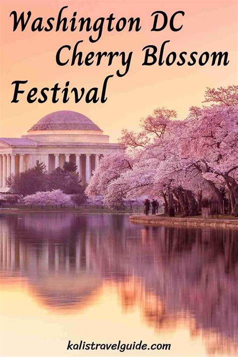 2023 Washington DC Cherry Blossom Festival: Best Views