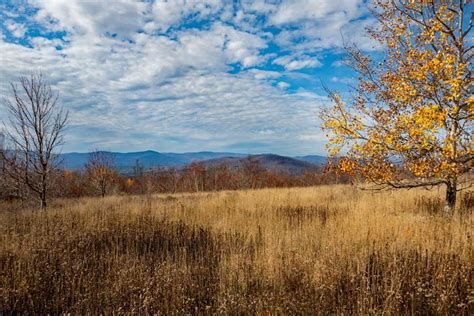 Cave Mountain Trail in the Hunter-Tanersville-Windham Valley