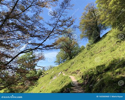 Walking and Hiking Recreational Trails on the Mountain Buergenstock or Burgenstock, Ennetburgen ...