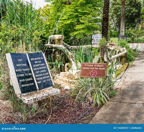 Garden of Catholic Church on the Mount of Beatitudes, Israel Stock ...