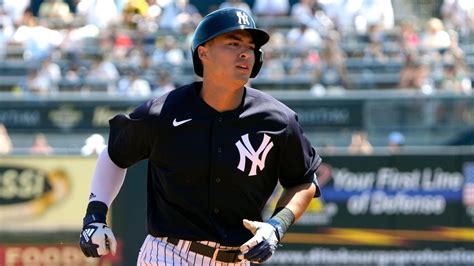 Yankees scouting report for 2023 - Newsday