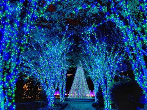 Coastal Botanical Gardens Light Show – Beautiful Flower Arrangements ...