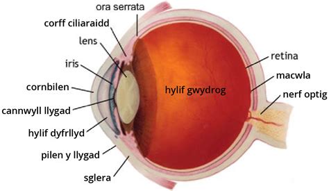 Eye diagram