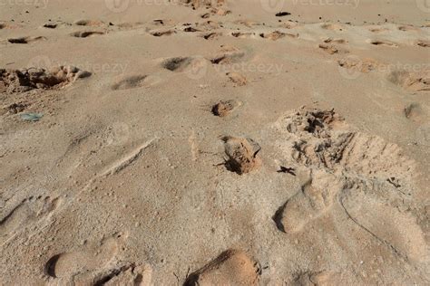 Footprints in the beautiful sand beach 15716898 Stock Photo at Vecteezy