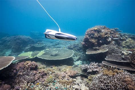 An Introduction to Underwater Drones | B&H eXplora