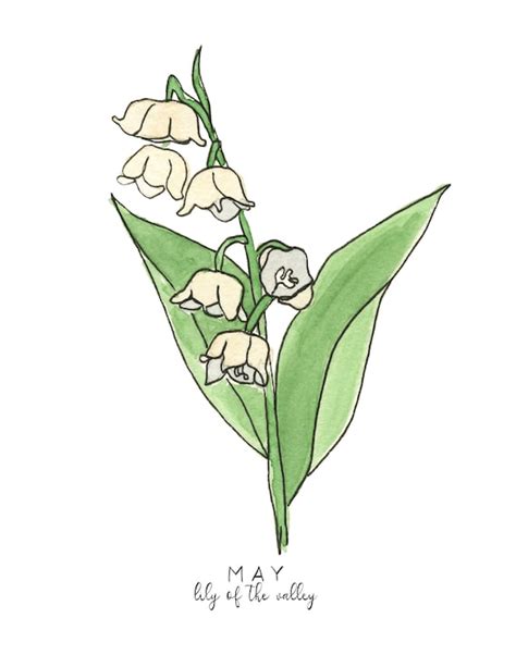 May Birth Flowers